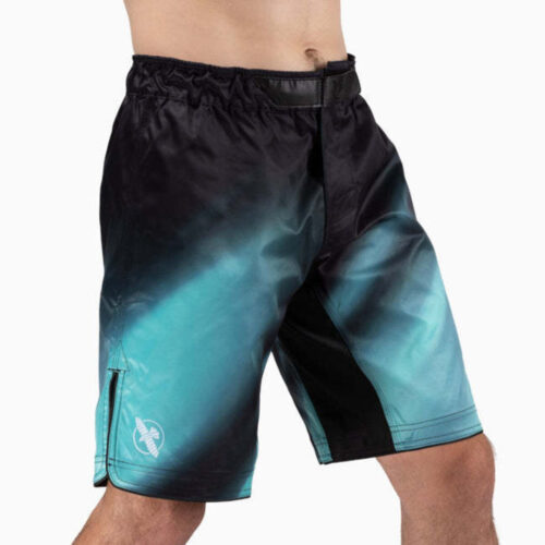 Hayabusa Apex Nova full-length fightshort teal