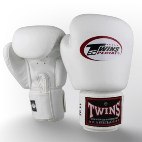 Twins Special BGVL 3 bokshandschoenen wit